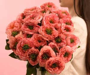 Букет из 25 пионовидных роз мандарин