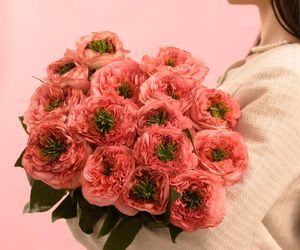 Букет из 15 пионовидных роз мандарин