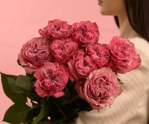 Букет из 9 пионовидных розовых роз