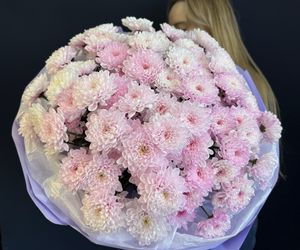 Моно букет из 15 розовых хризантем