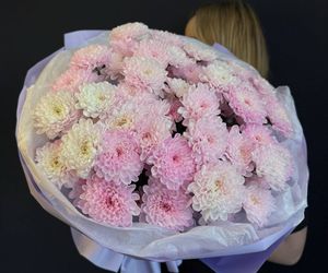 Моно букет из 9 розовых хризантем